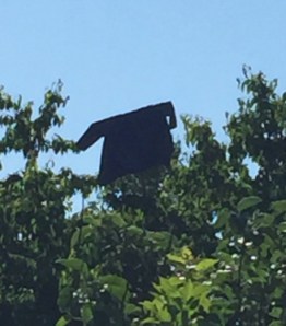 FullSizeRender copy 2