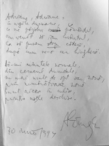 FullSizeRender copy 2