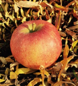 FullSizeRender copy 2