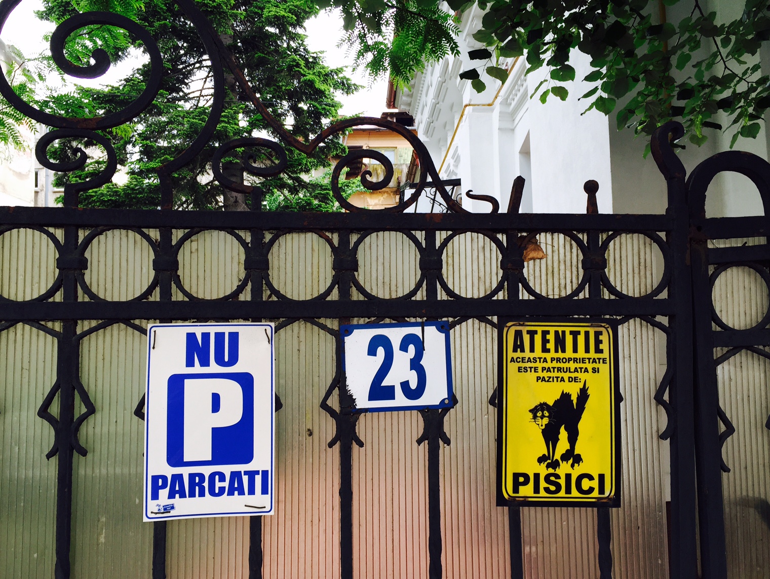 FullSizeRender 4.jpg